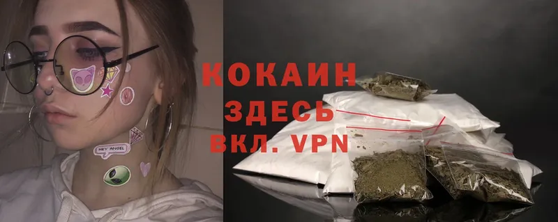 ссылка на мегу сайт  Болохово  Cocaine VHQ  где найти наркотики 