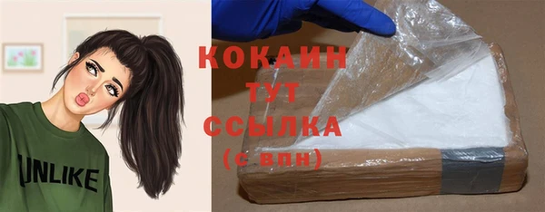 твердый Белокуриха