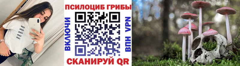 mega ТОР  Болохово  Псилоцибиновые грибы MAGIC MUSHROOMS 